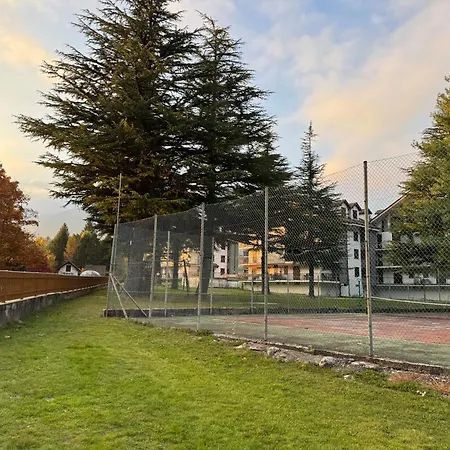 Bluebell Santa Maria Maggiore